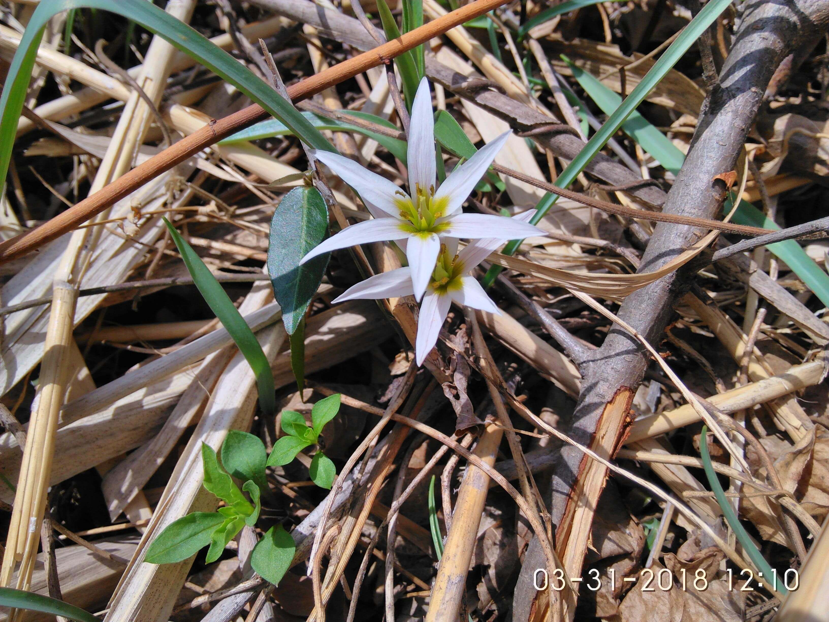深谷幽兰 • 珠山秀谷